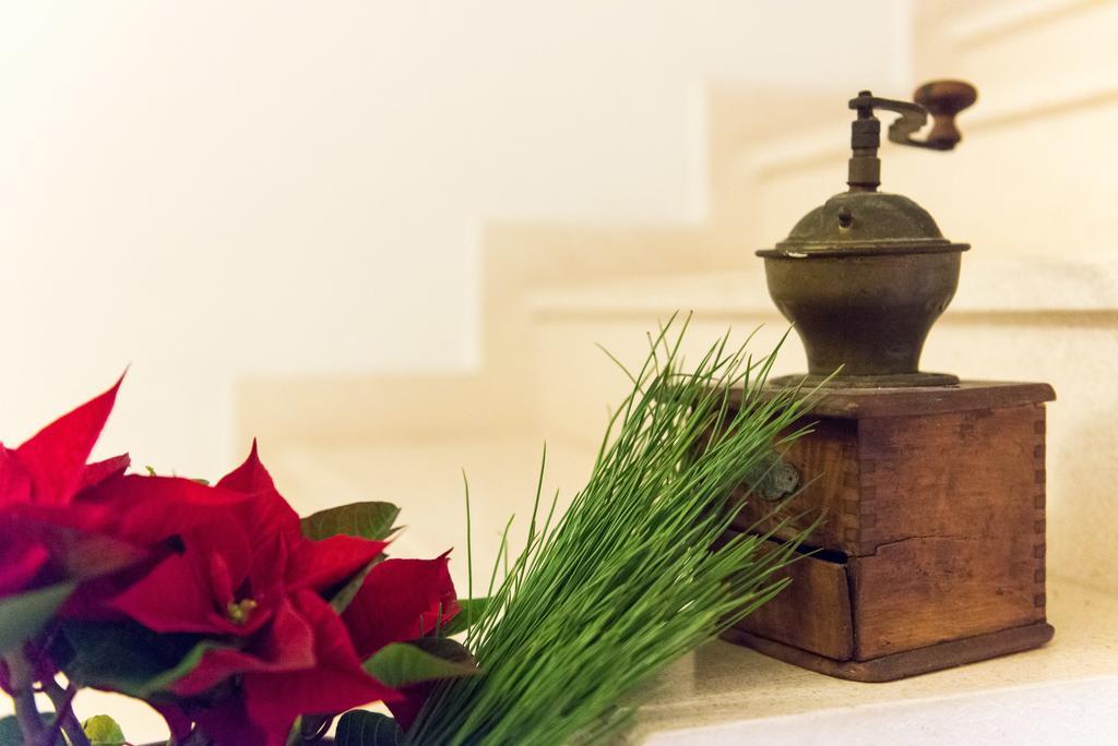 B&B Villa Dubrovnik Garden Ngoại thất bức ảnh
