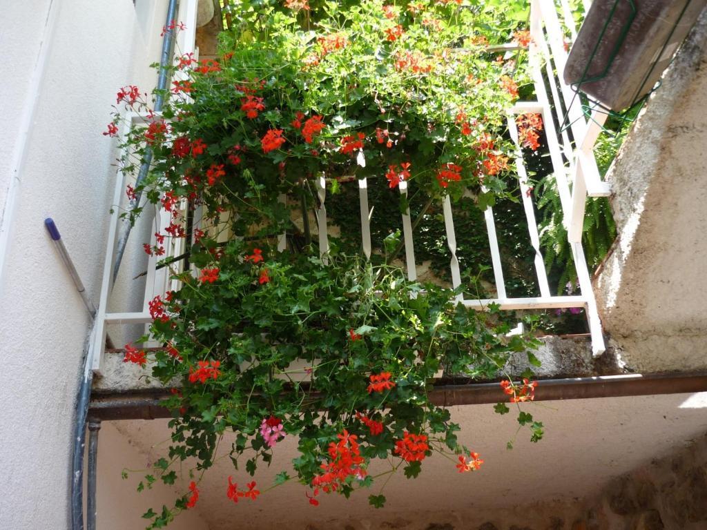 B&B Villa Dubrovnik Garden Ngoại thất bức ảnh